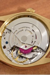 Rolex Oyster Perpetual SCOC 18Kt Gold Herrenuhr mit gerippter Lunette
